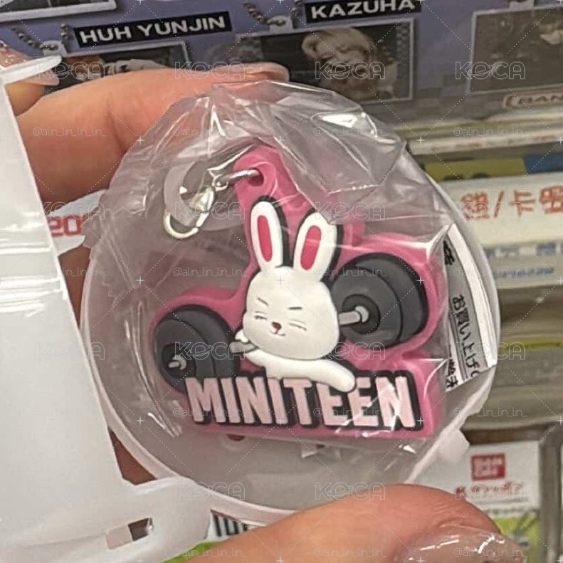 日本萬代 Miniteen扭蛋 喆、碩