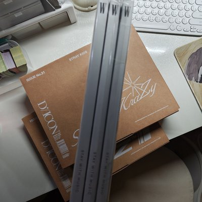 LEE KNOW 雜誌三本 箱雜誌兩份