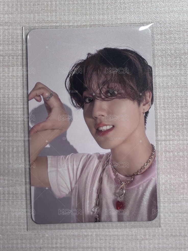Straykids Han 韓知城 Maxident 專輯小卡 專卡