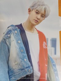 What A Life 卡冊 卡冊分頁