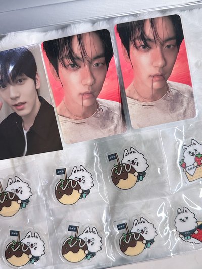 kms彬中背小盤～🐰