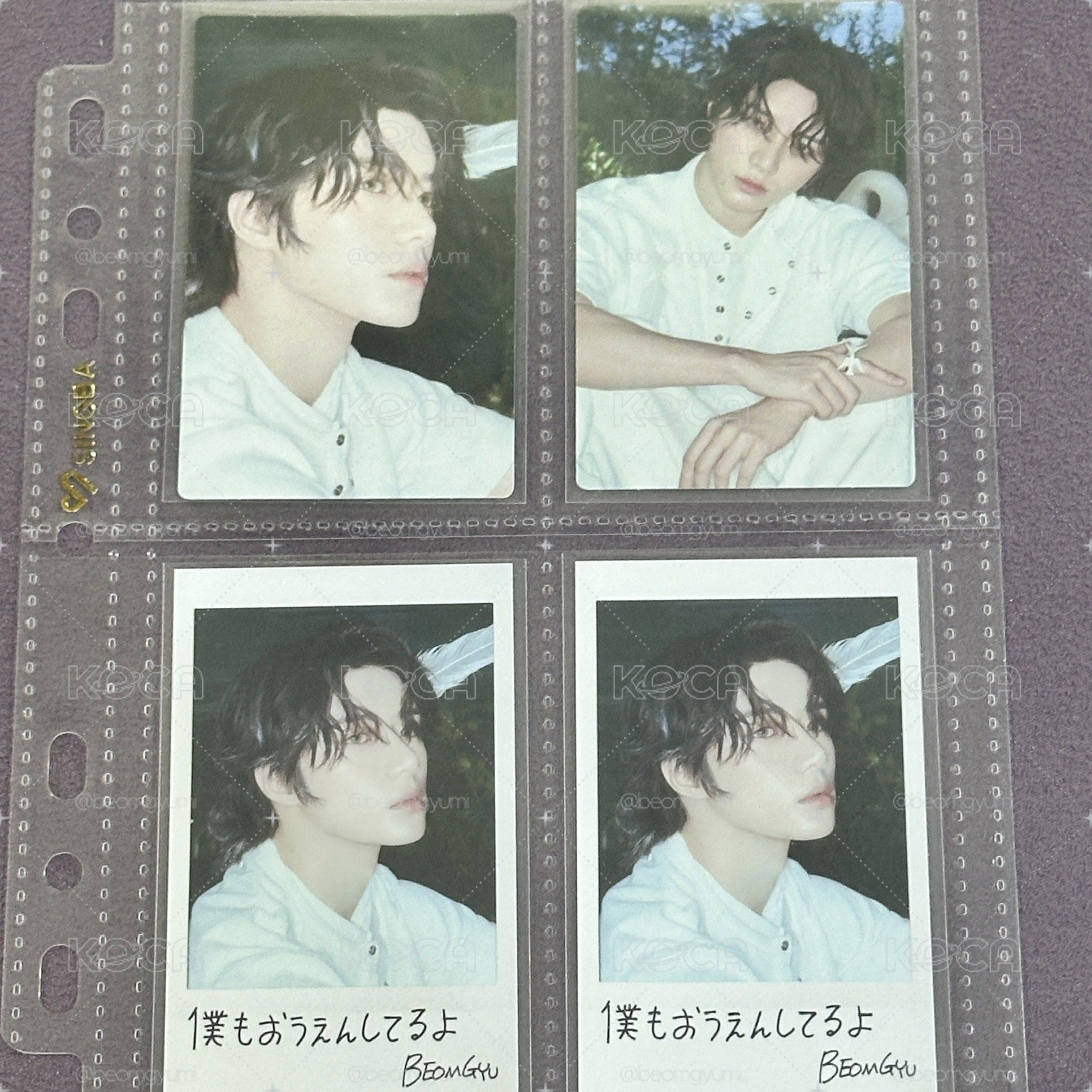 TXT Starkissed系列圭