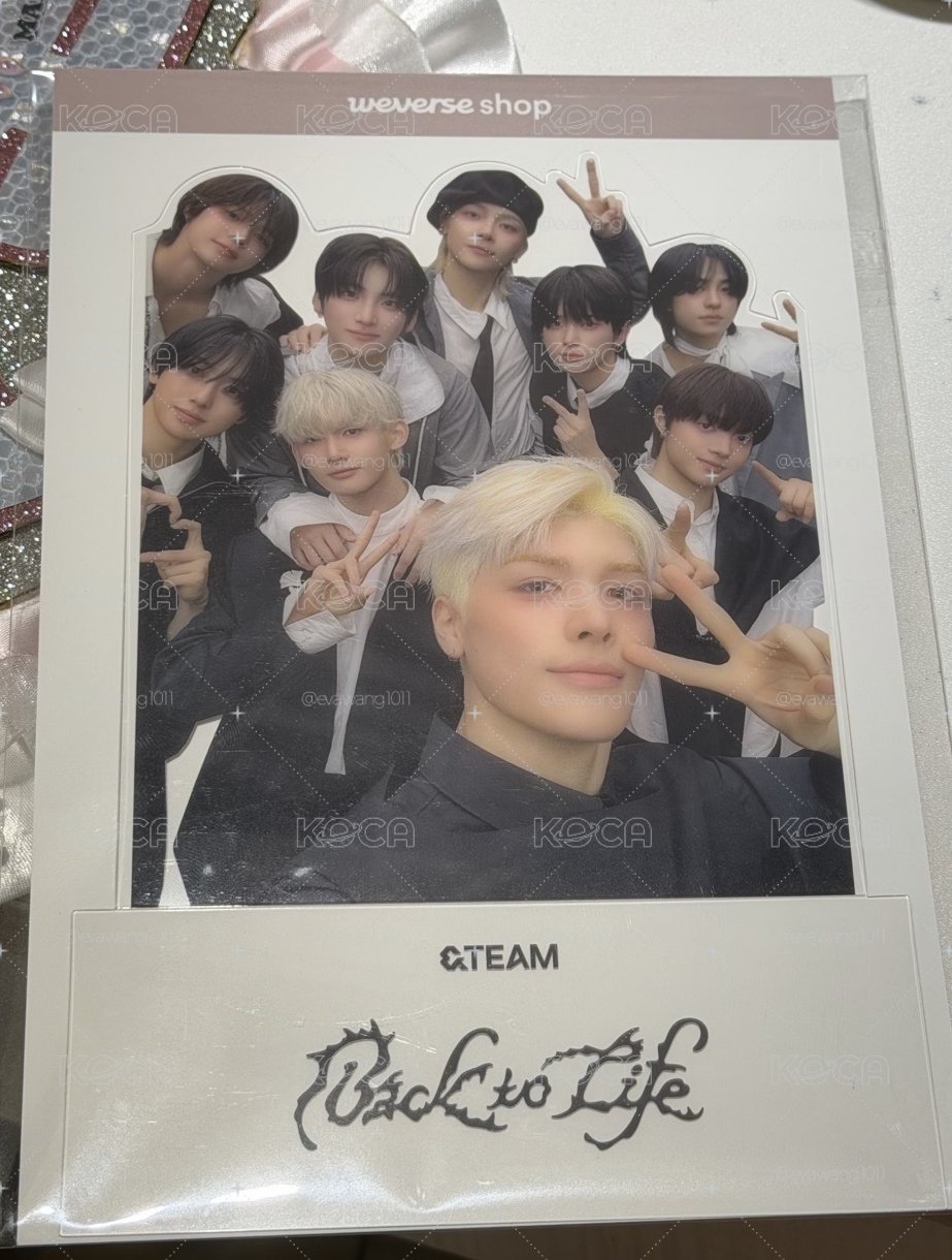 &team立牌