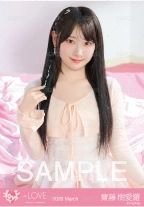 齋藤樹愛羅| KOCA