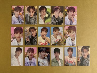 🤍Always Yours 碩 專卡/特典卡/場限 15+1整圖售