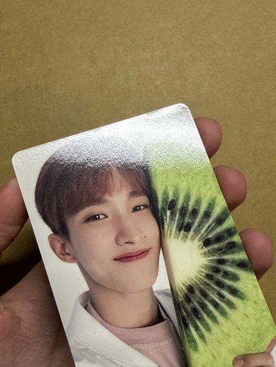 🤍Always Yours 碩 專卡/特典卡/場限 15+1整圖售