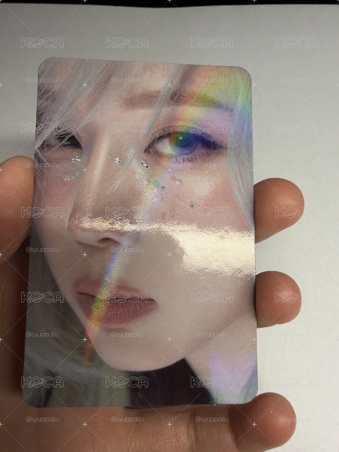 正規一 hottracks 特典卡 教保特典冬