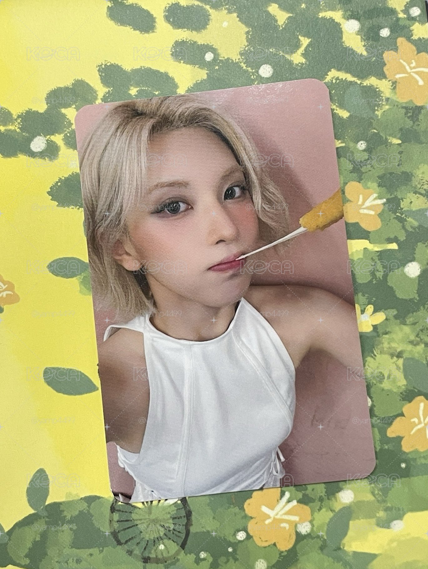 起司條Bae