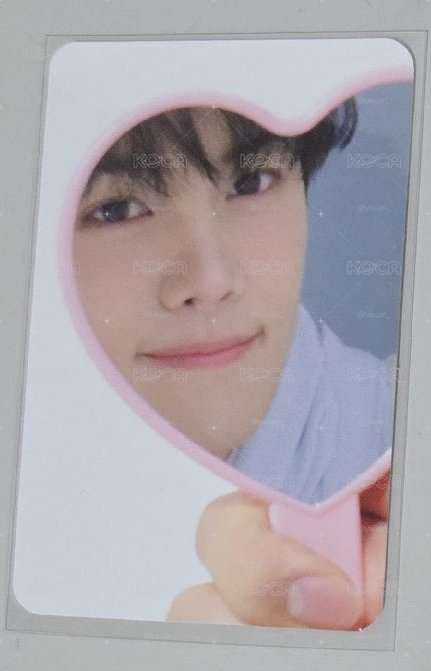 小狗照鏡子