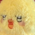 ˖˚⋆𐙚fanu•o•ufan‎⁺˳‎ ོ☼