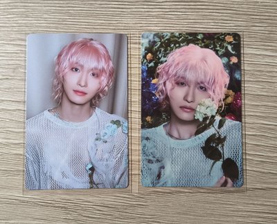 ms 5.0星單特典（綁圖三專卡）