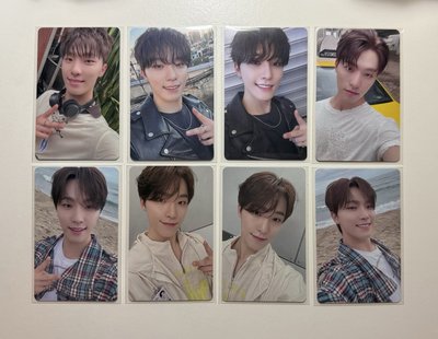 SEVENTEEN RIGHT HERE 日本場限-🦦DINO一套16張+消費期限空專*2