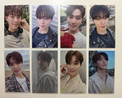 SEVENTEEN RIGHT HERE 日本場限-🦦DINO一套16張+消費期限空專*2