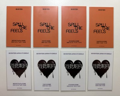 SEVENTEEN RIGHT HERE 日本場限-🦦DINO一套16張+消費期限空專*2