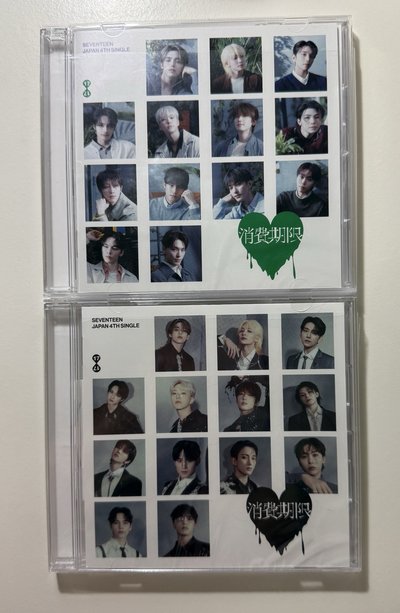 SEVENTEEN RIGHT HERE 日本場限-🦦DINO一套16張+消費期限空專*2