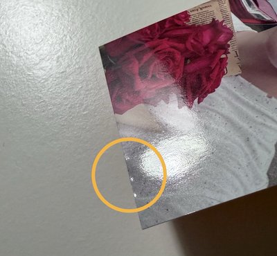 SEVENTEEN RIGHT HERE 日本場限-🦦DINO一套16張+消費期限空專*2