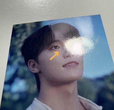 SEVENTEEN RIGHT HERE 日本場限-🦦DINO一套16張+消費期限空專*2