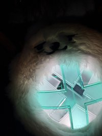 sukisoobin