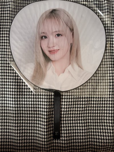（現貨 紙箱寄出）IVE 日巡 大扇 扇子