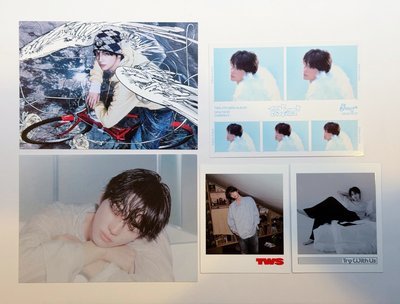 TWS 申惟 專卡+明信片+拍立得 16張卡+3張明信片+2張拍立得造型卡 共21樣