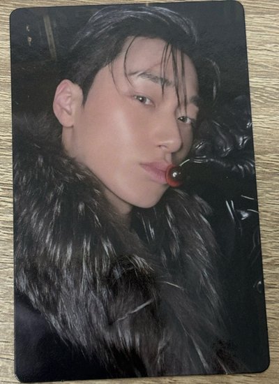 GH4 特典卡 櫻桃