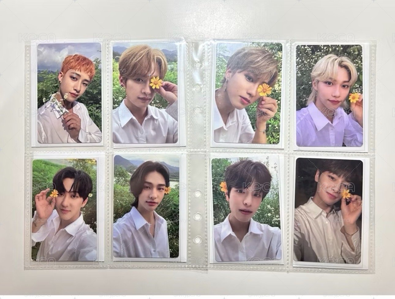 StrayKids Noeasy 預購禮花卡 套出 
