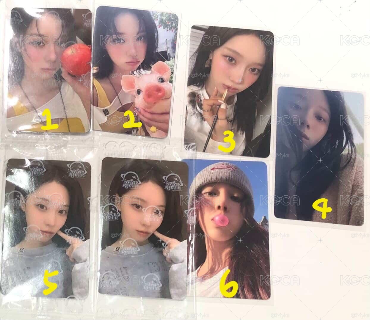 冬冬3️⃣