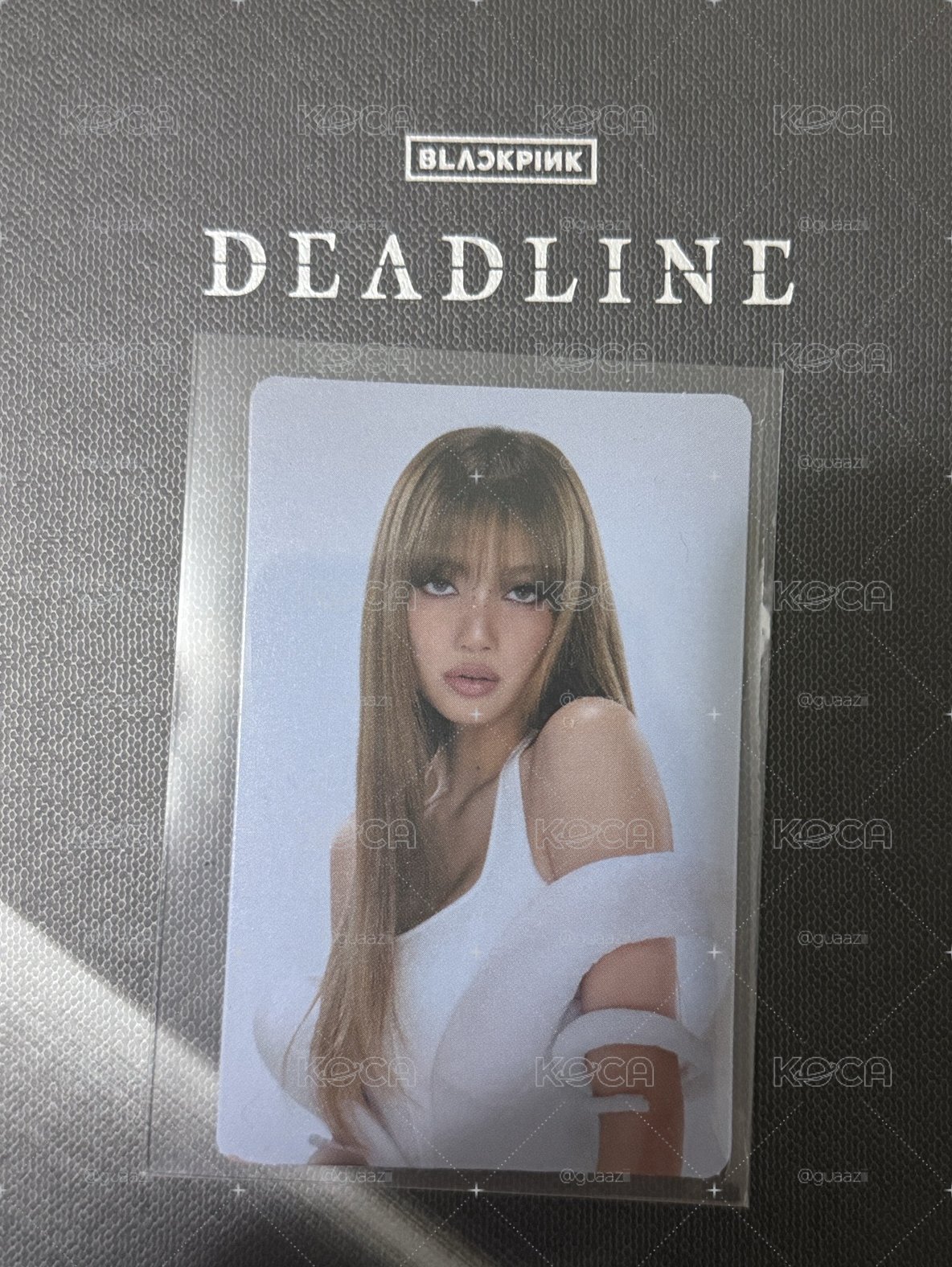 護照卡 莎 lisa