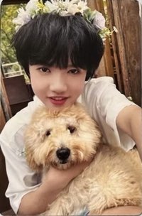 奔跑一 周邊卡 抱狗然