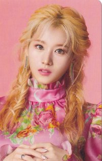 JP正規二 專輯卡 