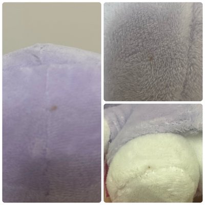 ITZY WDZY日版大娃全新含吊牌 TUK 留真