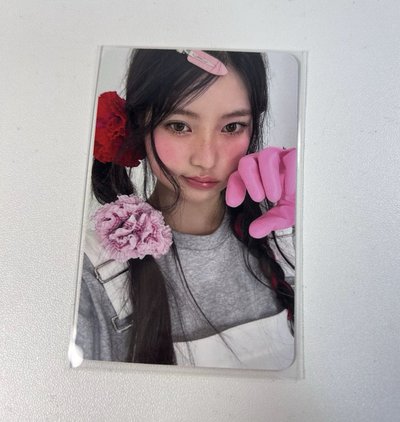 haum  am果醬女工