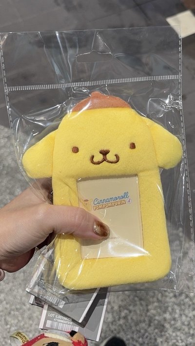 現貨 Watsons 屈臣氏跟你狗狗迪絨毛卡套-布丁狗款