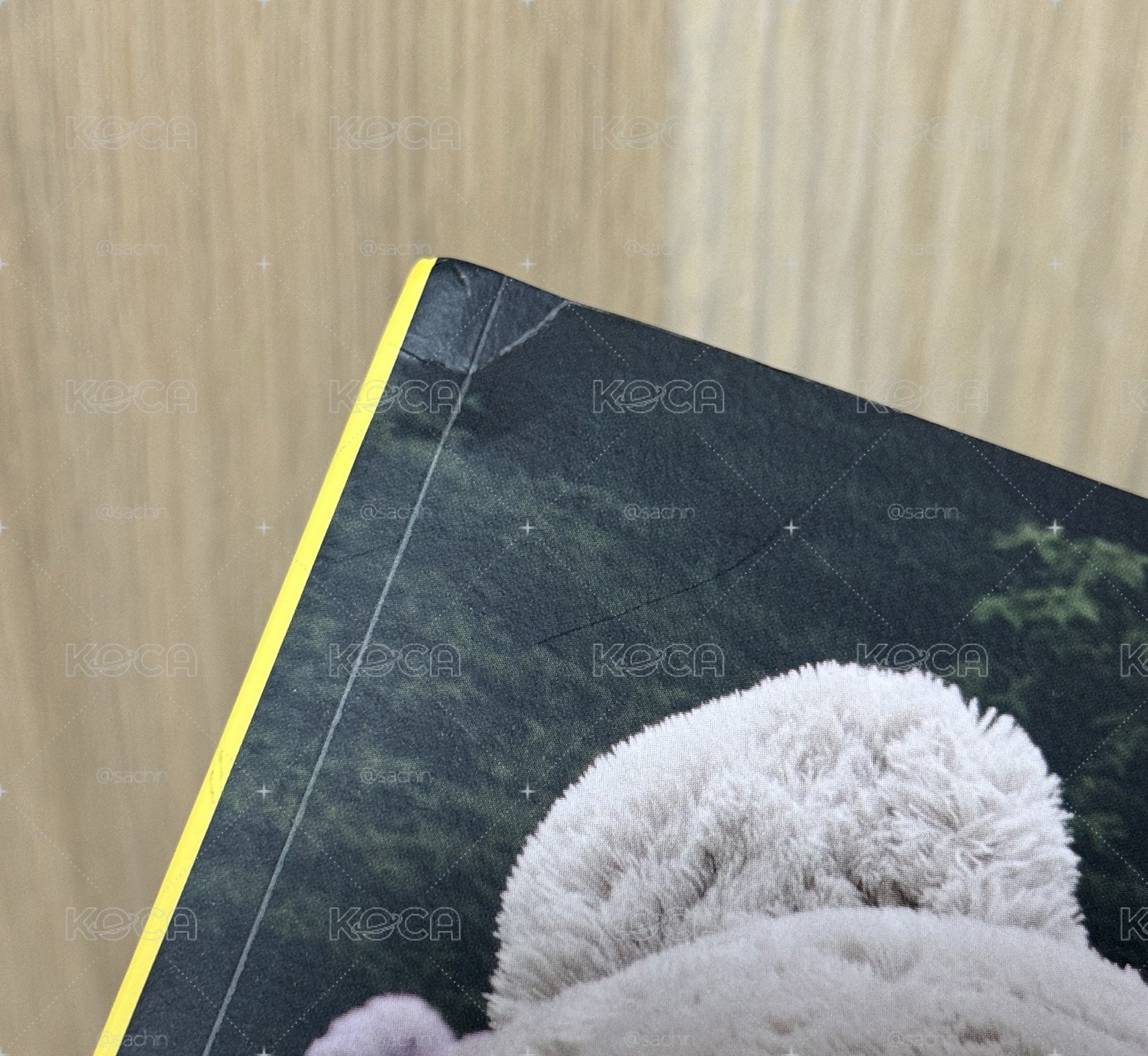 DICON雜誌 奎