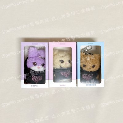 絕版現貨🇰🇷韓國正版BLACKPINK 演唱會限定 娃娃吊飾 鑰匙圈 世巡娃 Jennie Rosé Jisoo 