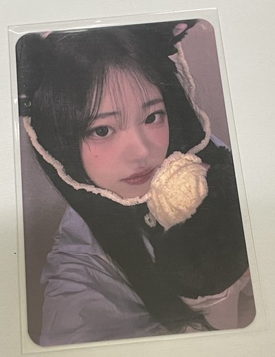 迷三 br 線上 3.0 簽售卡 貓