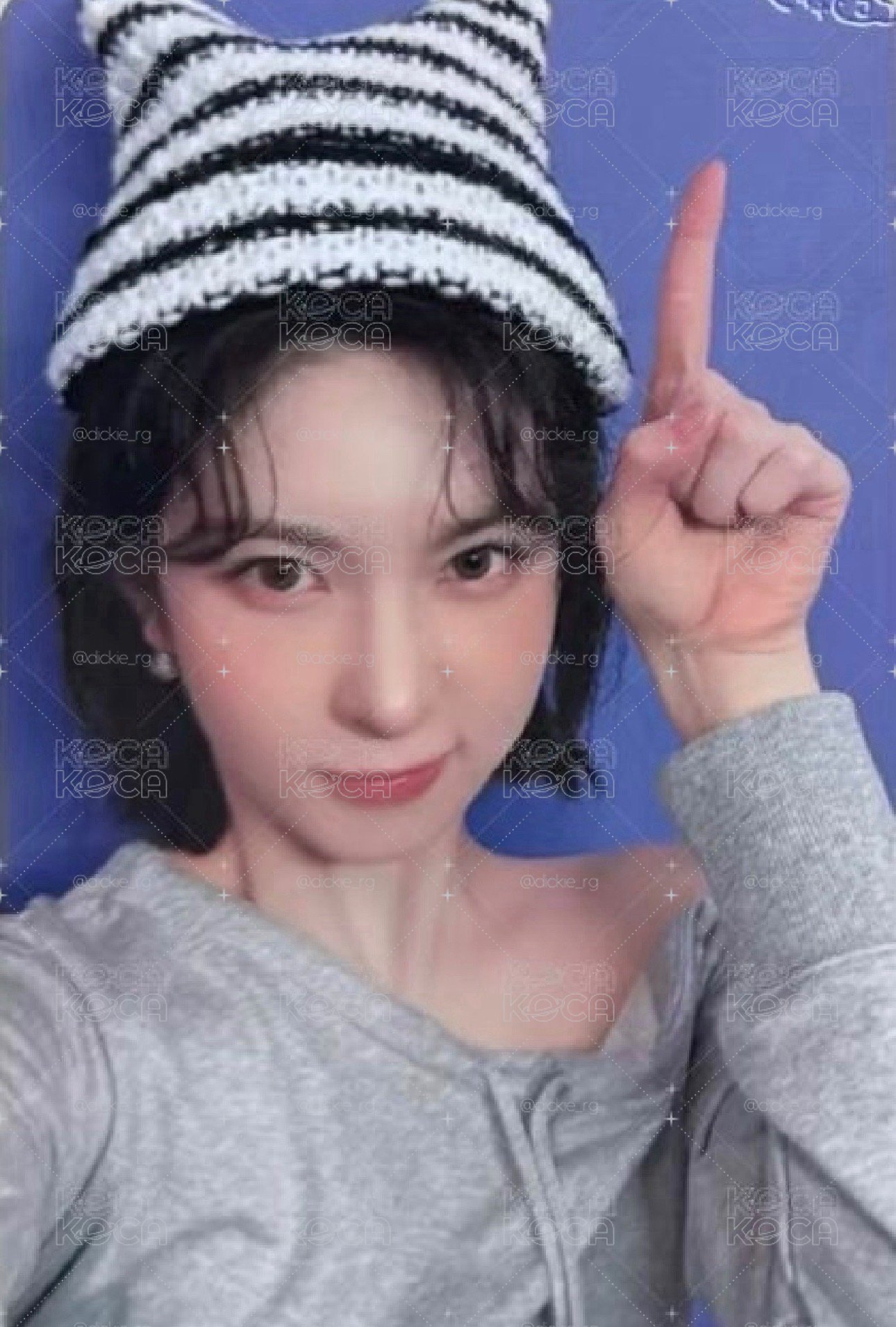 貓貓針織 裴