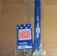 JR東海聯名手機掛繩背帶