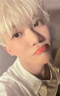 Moonlight 塔店 特典卡 