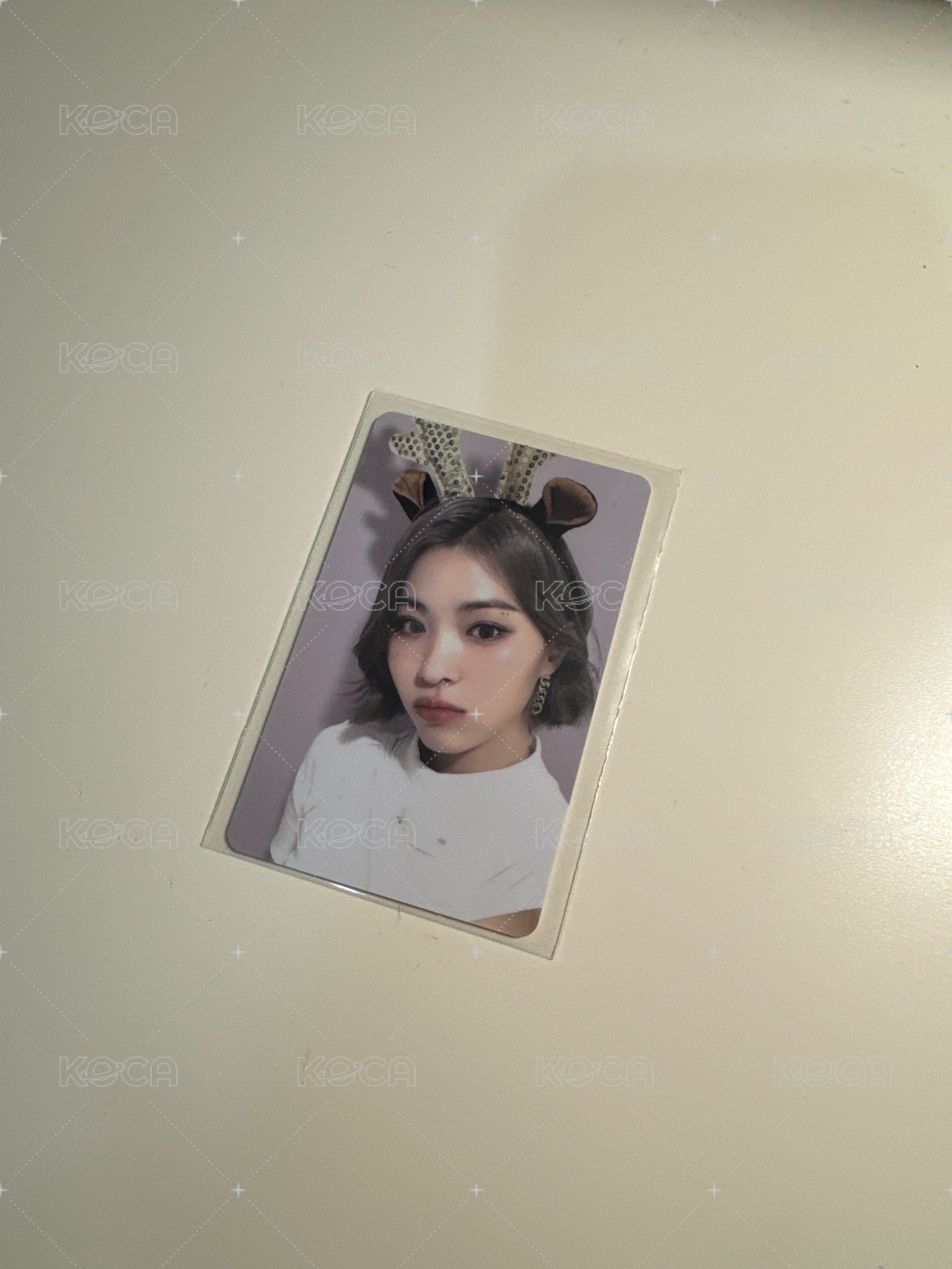 小鹿🐱