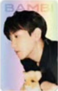 bolo3 立牌 周邊卡 