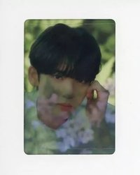 迷一 透卡 專輯卡 SHADE ver.