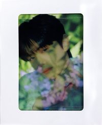 迷一 透卡 專輯卡 SHADE ver.