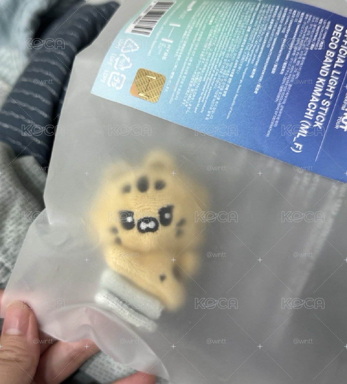 采手燈娃 金阿奇