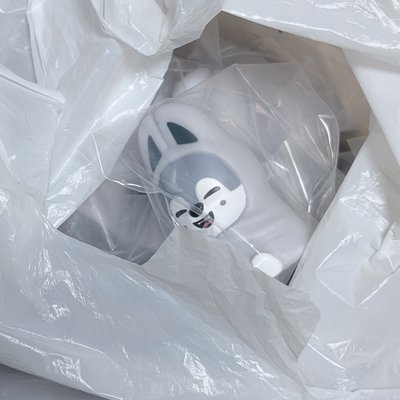 SKZOO 萬代 發光扭蛋