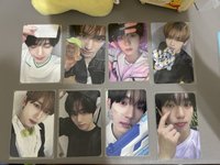 上排左2卡皮巴拉