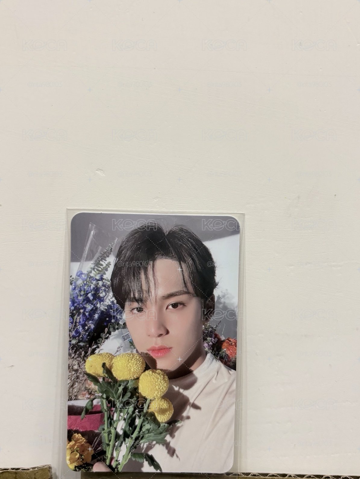 捧花奎💐