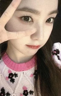 2024 FC 周邊卡 短褲姐