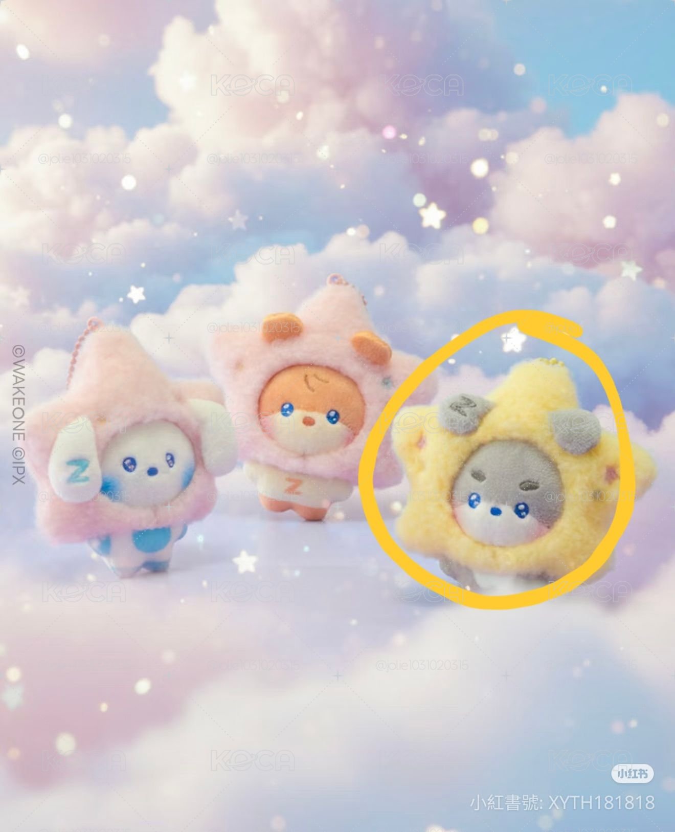旭雄星星娃