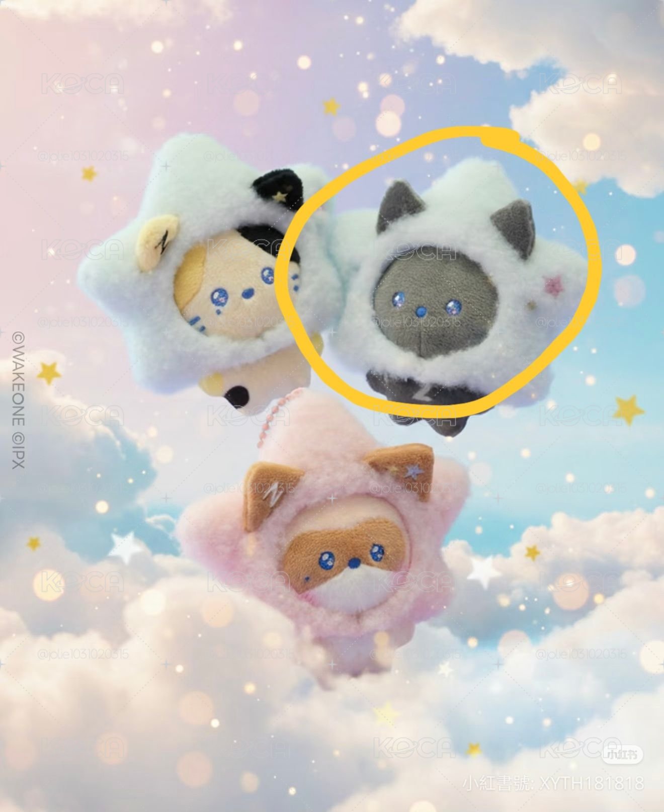 旭雄星星娃